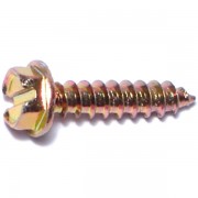 Hex Head Slotted Screws 6 x 3/4