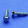 Hex Head Slotted Screws